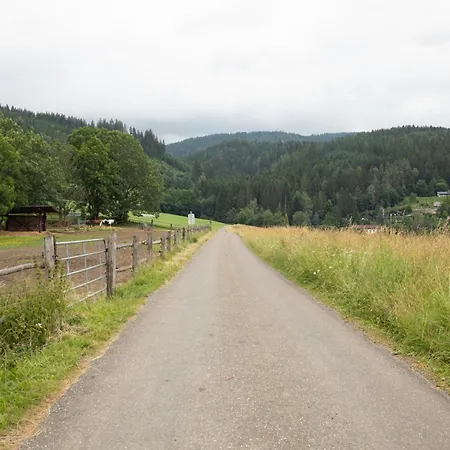Minihaus In Den Bergen/ Small Mountain House Ferienhaus *
