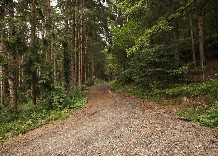 Minihaus In Den Bergen/ Small Mountain House *