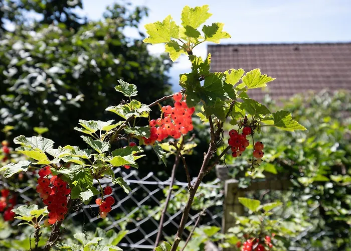 In Den Bergen Casa vacanze Greith (Murtal)